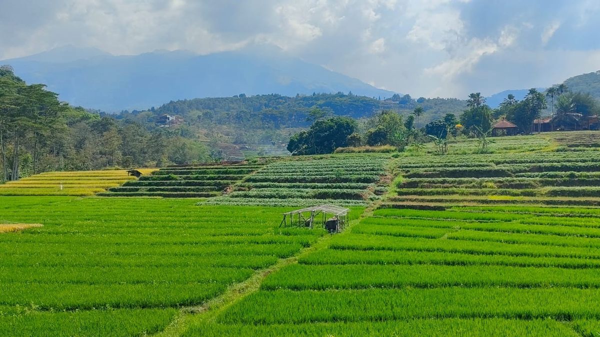 Attachment for Trawas Miliki Wisata Baru! 5 Destinasi Tersembunyi 2025 yang Membuat Betah
