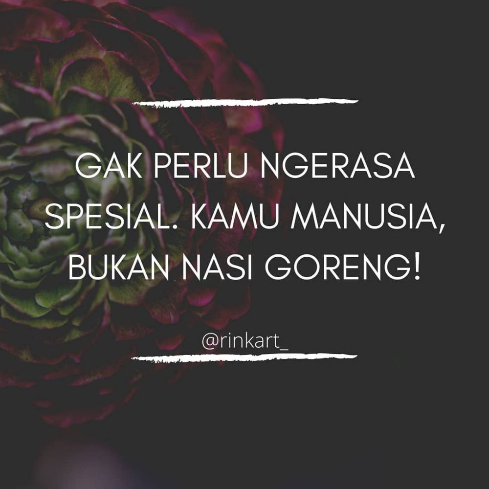 Attachment for Kumpulan Kata Kata Motivasi Lucu Singkat yang Bisa Menginspirasi dan Membuat Tertawa