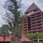 universitas indonesia - kampus terbesar dan terluas di indonesia