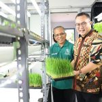 Mini Plant Factory berbasis IoT di IPB