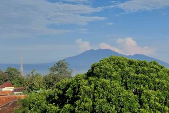 Attachment for Kisah Foto: Riset Industri Kelapa BRIN GAPNI di Salatiga dan Semarang