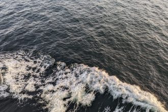 pexels photo 25932150