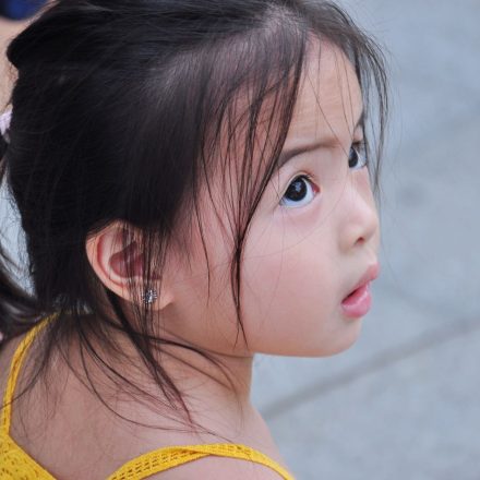 pexels photo 28816673
