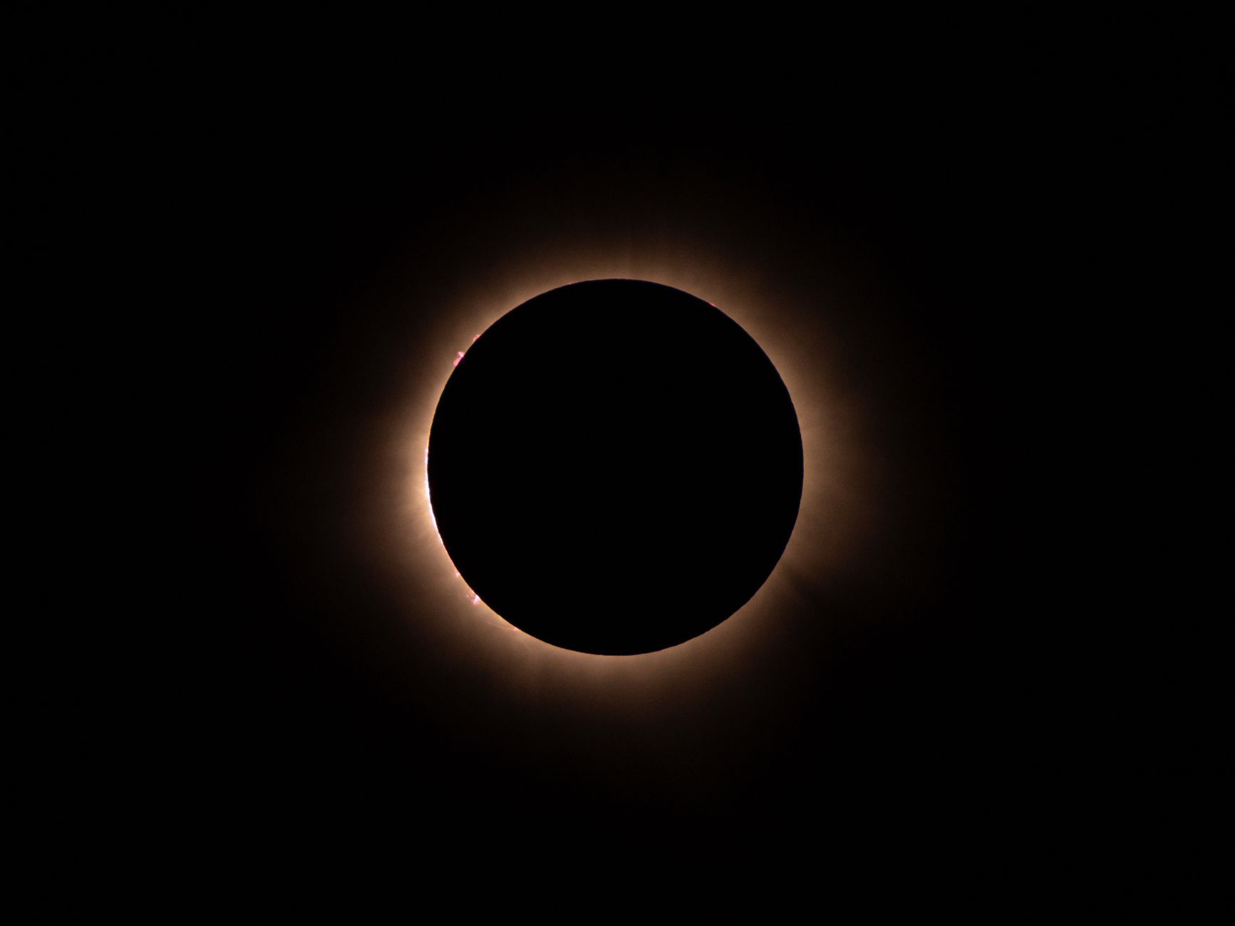 pexels photo 28946775 1