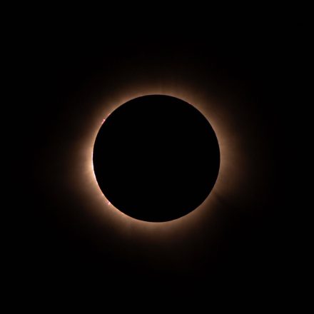pexels photo 28946775