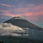 pexels photo 36095242