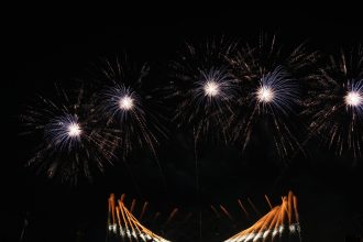 pexels photo 36715203