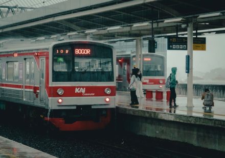 pexels photo 37883122