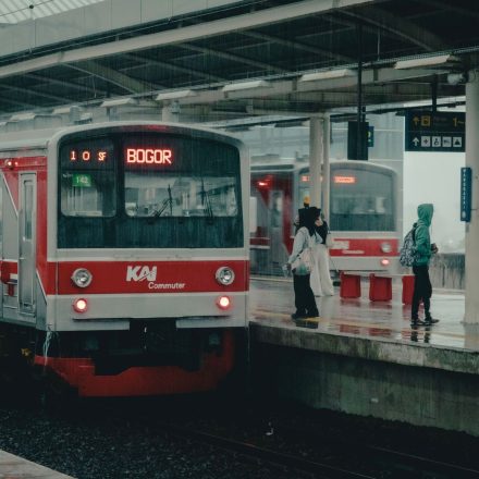 pexels photo 37883122