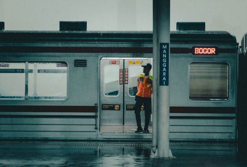 pexels photo 37883123