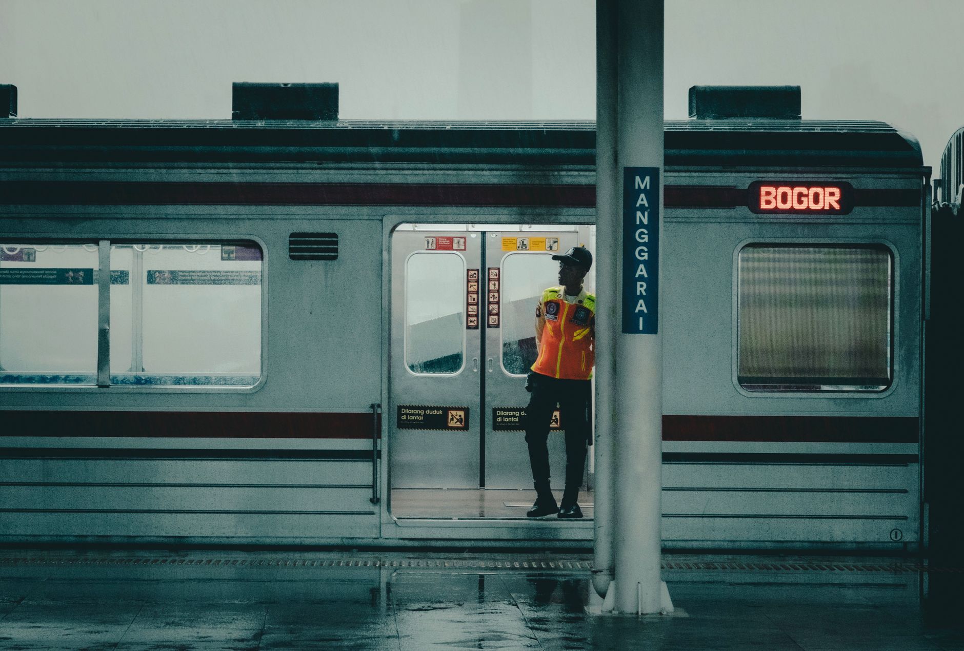 pexels photo 37883123